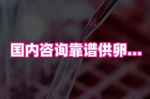 国际助孕网 3