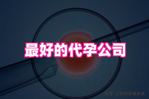 国际助孕网 4