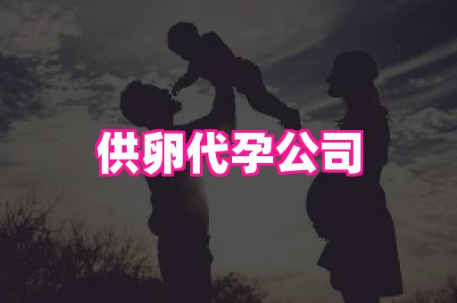 馨宝助孕网 4